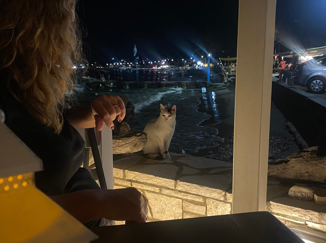 The Boathouse Bar & Cocktails-Roda必去景点