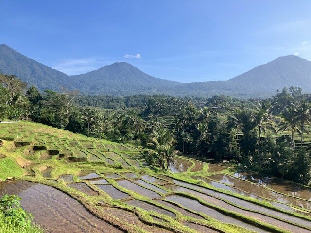 Jatiluwih-Jatiluwih必去景点