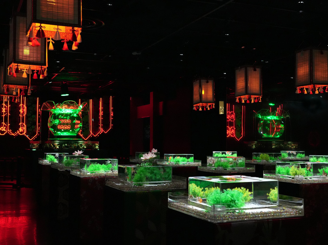 Art Aquarium-Ginza必去景点