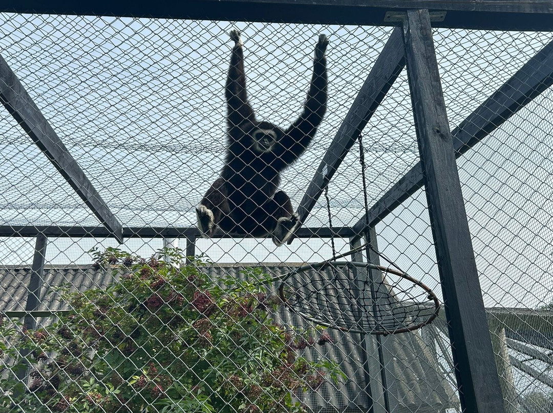 Odsherred Zoo Rescue-Asnaes必去景点