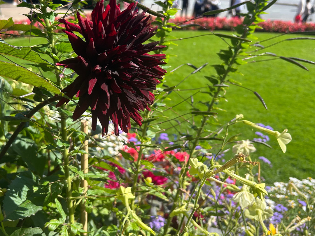 Byparken-卑尔根必去景点