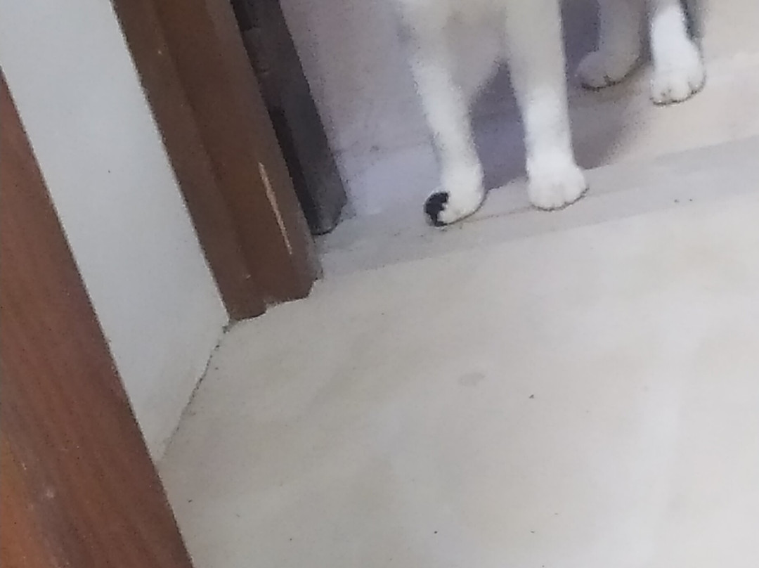 Masseria Bosco di Makyva主图