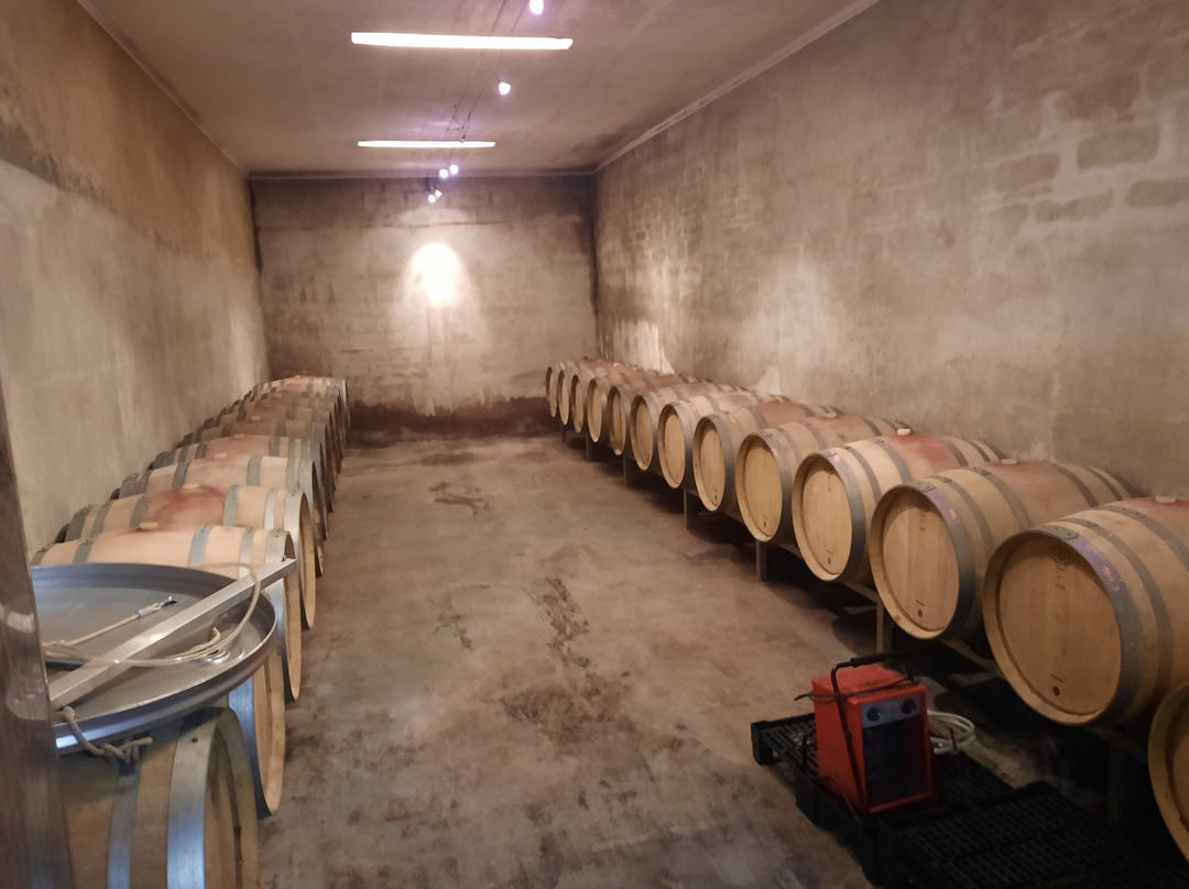 Domaine Aimé Stentz-维特塞姆必去景点