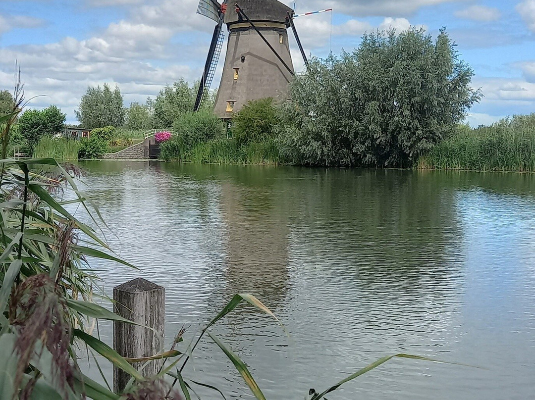 Touristinfo-Alblasserdam-小孩堤防必去景点
