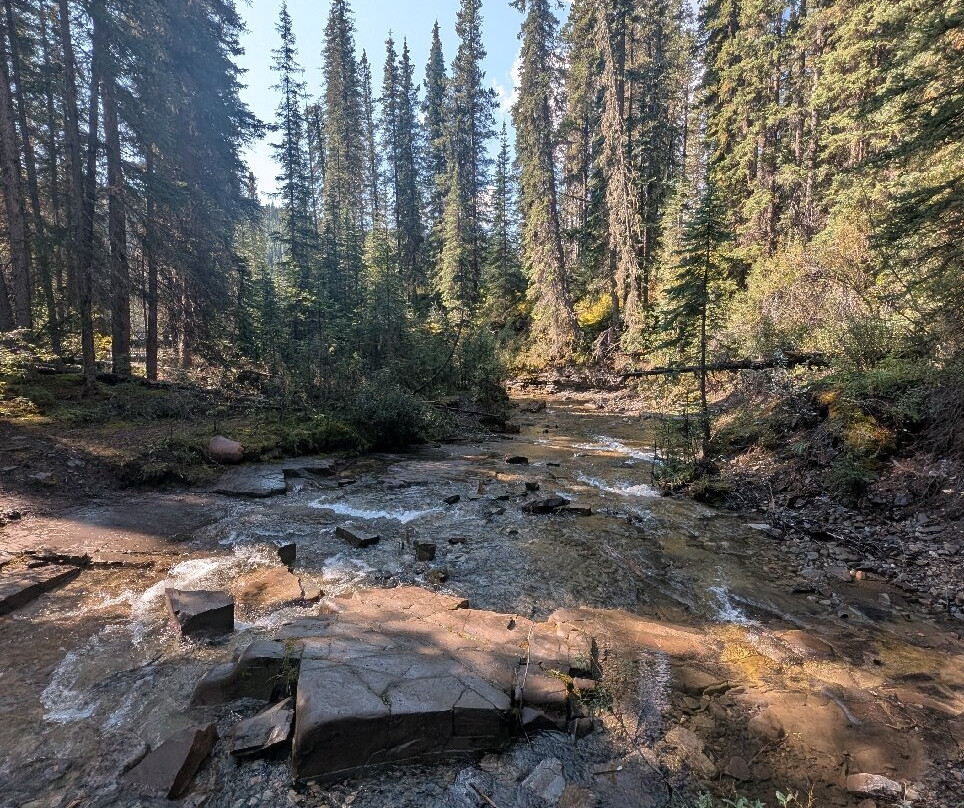 Crescent Falls Provincial Recreation Area-Clearwater County必去景点