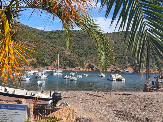 Porto Linea Excursions Maritimes-Porto必去景点