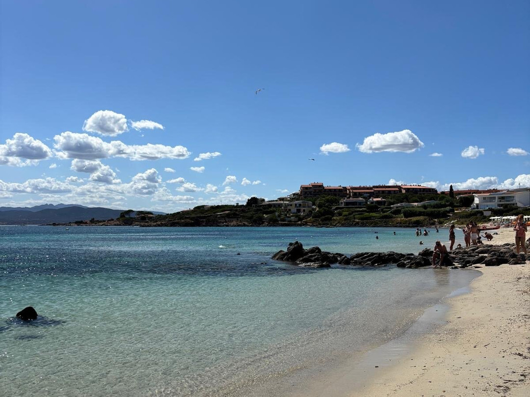 Spiaggia Pittulongu - La Playa-奥尔比亚必去景点