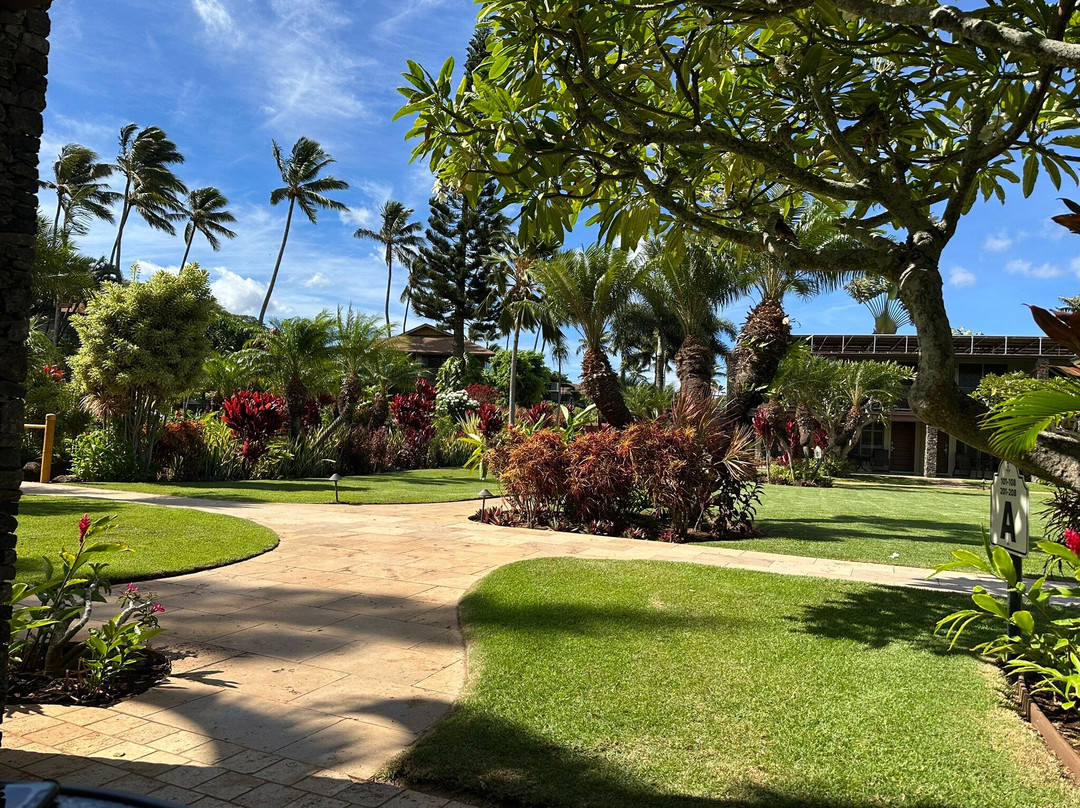 纳普里海滩毛伊酒店主图