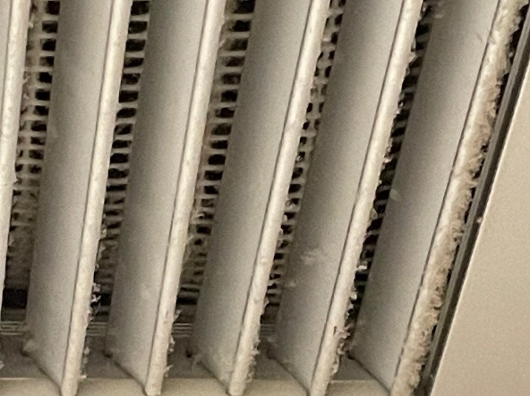 Vitalclass Lanzarote Sports & Wellness Resort主图