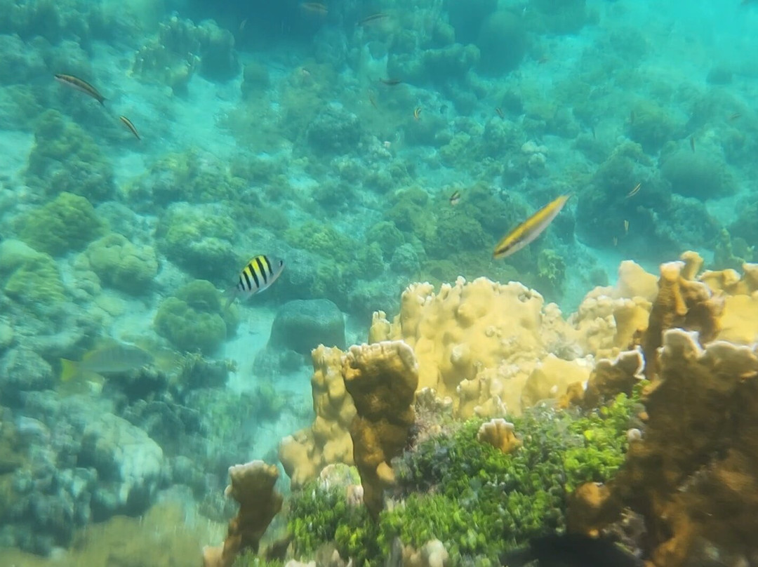 Anemoi Sailing-埃尔波韦尼尔必去景点