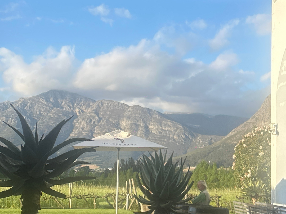 Holden Manz Wine Estate-法兰舒克必去景点