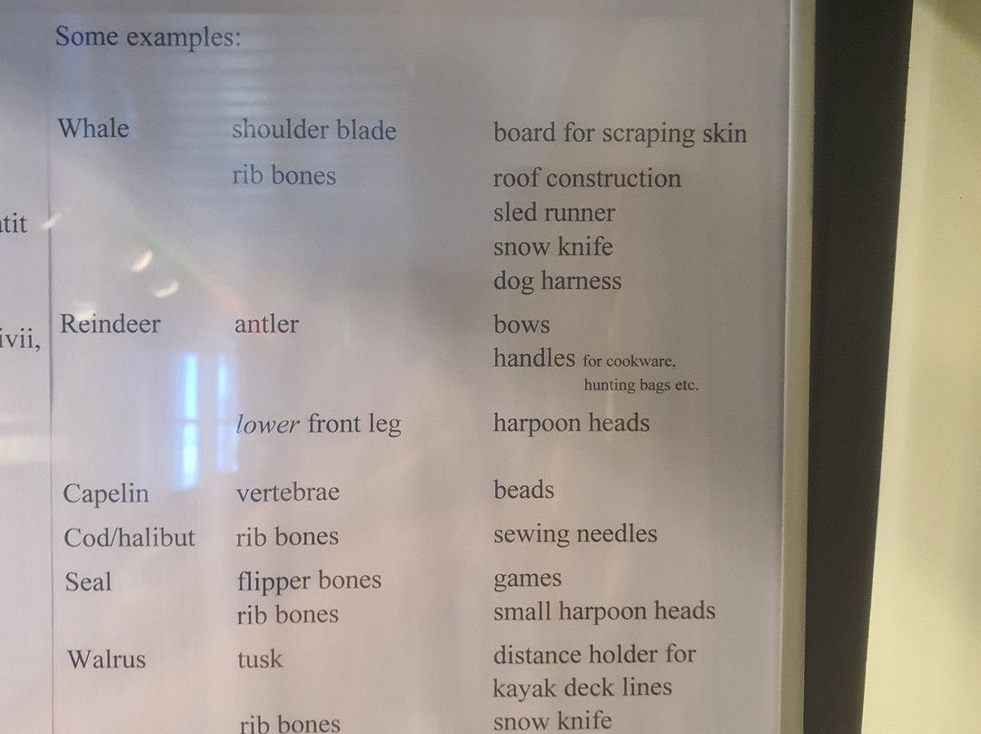 Ilulissat Cultural History Museum-伊卢利萨特必去景点