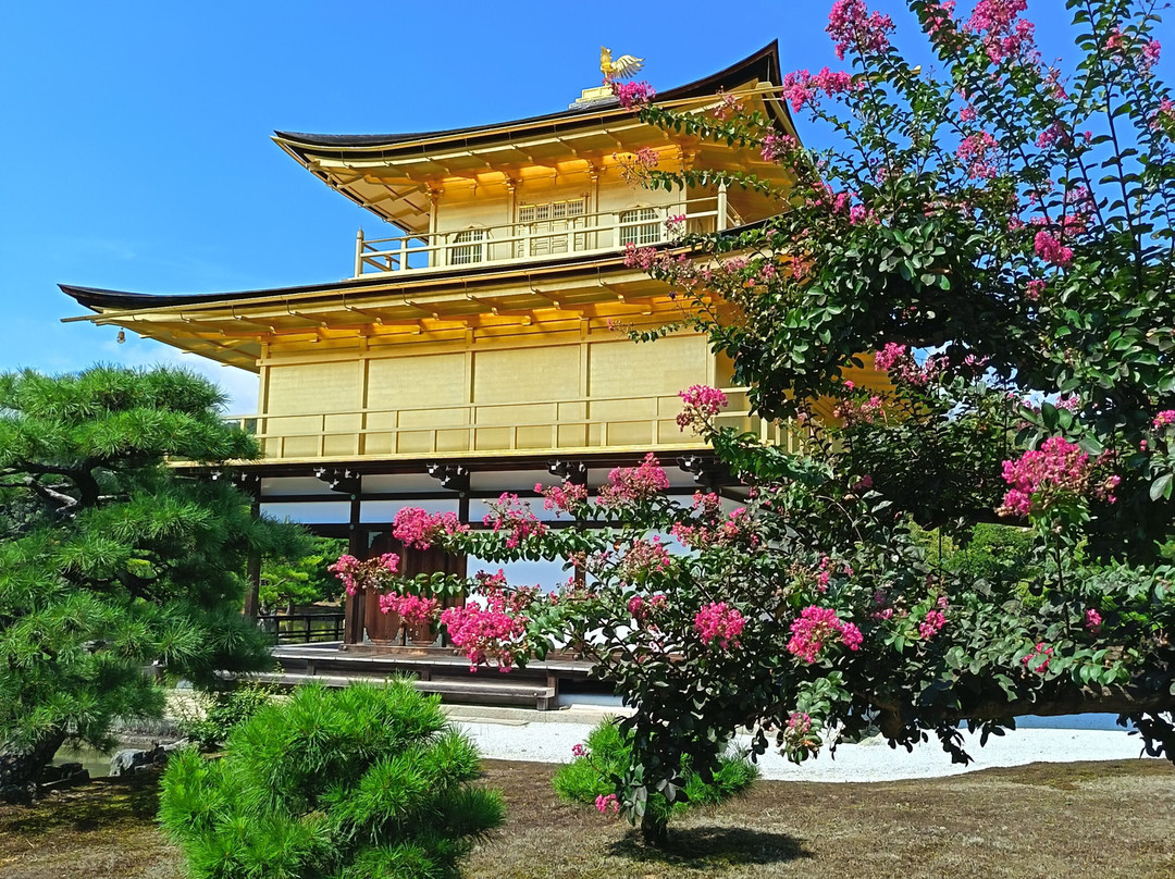 Mistral Tour-阿维尼翁必去景点
