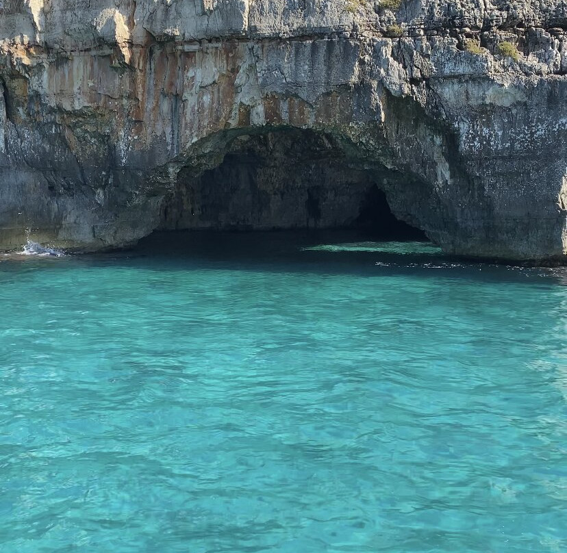 Escursioni Maretta-Torre Vado必去景点