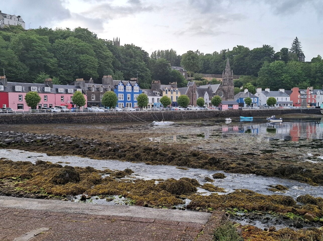 Caledonian MacBrayne - Oban Day Trips-奥本必去景点