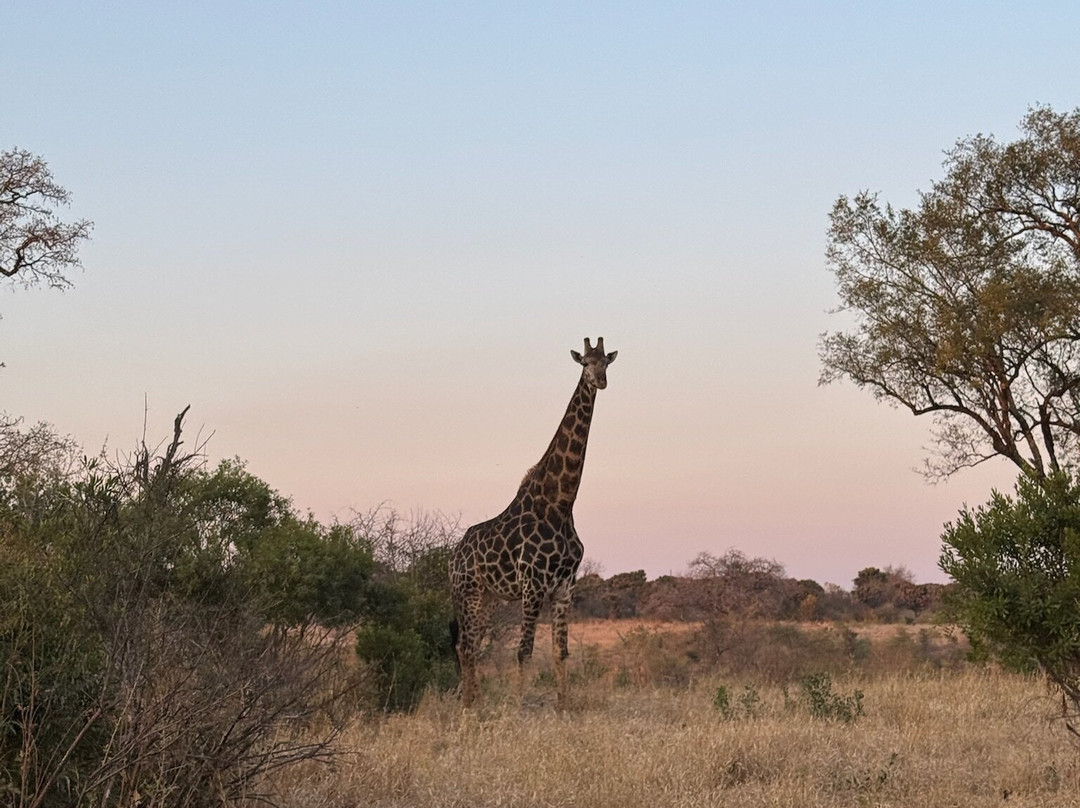 GAP Tours & Transfers-雾观必去景点