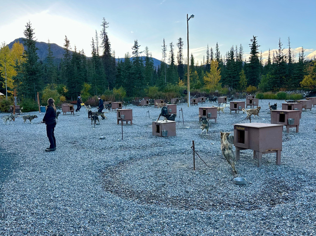 Dog Gone It-坎特维尔必去景点