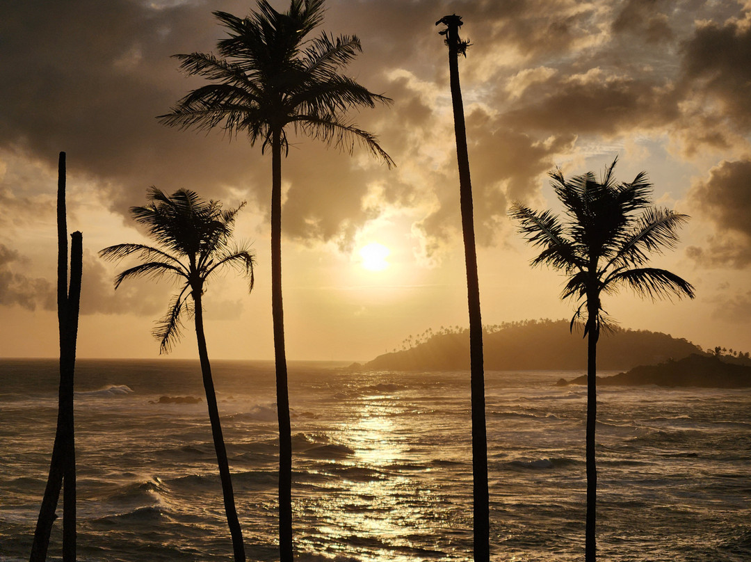 Sri Lanka Tours & Holidays-Wattala必去景点