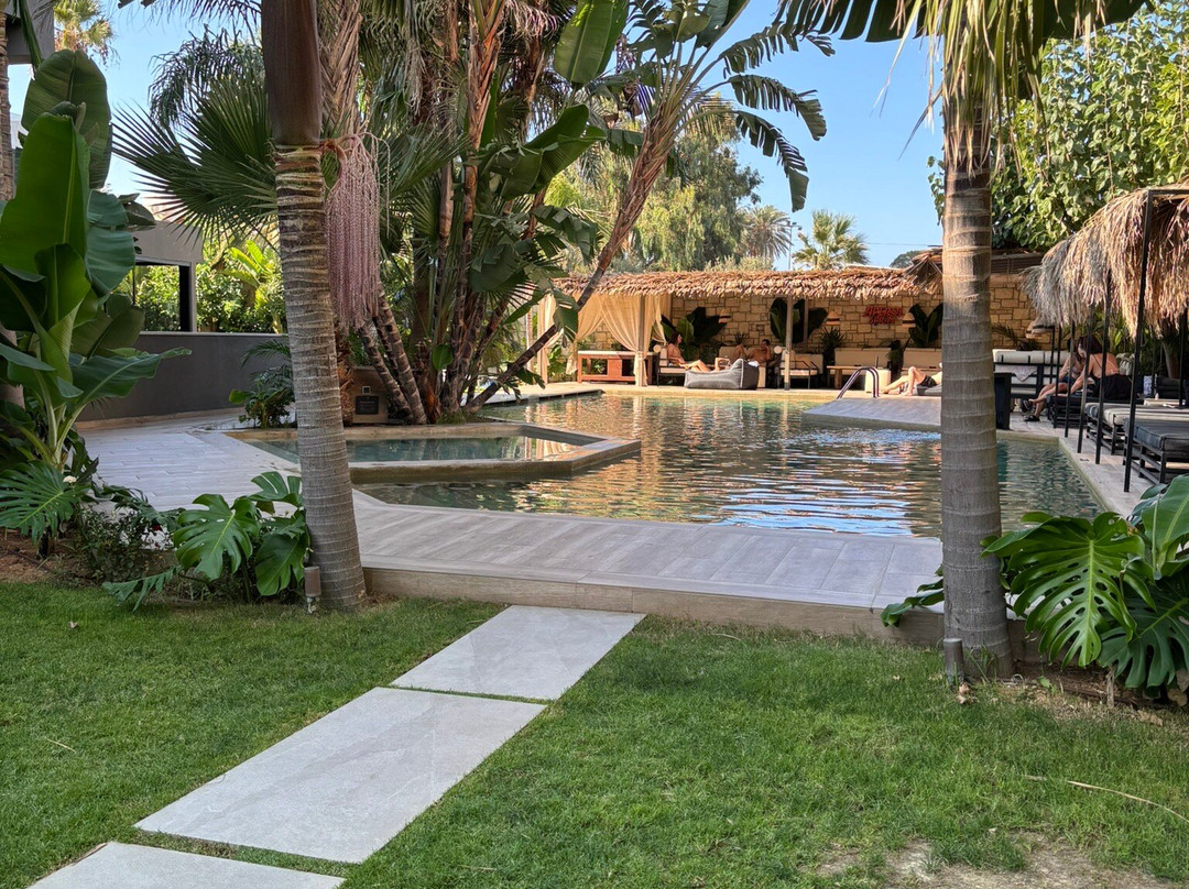 Alsus Boutique Hotel主图