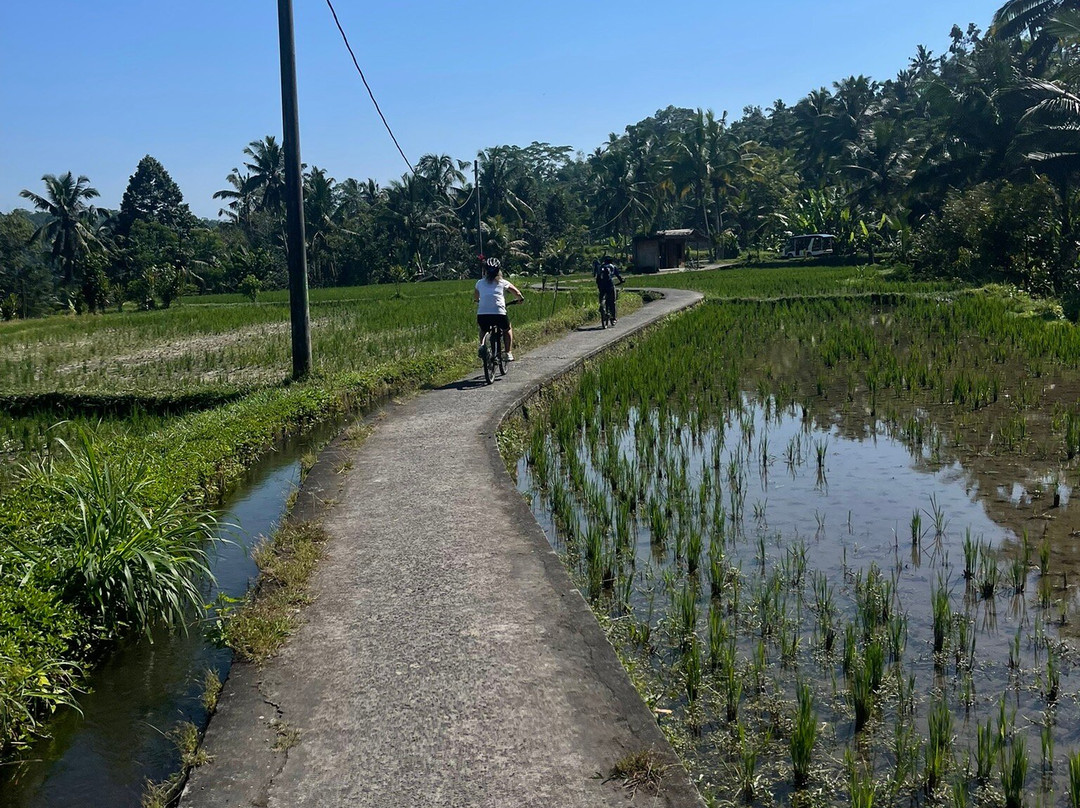 Green Bikes Bali e-bike tours Ubud-Mambal必去景点