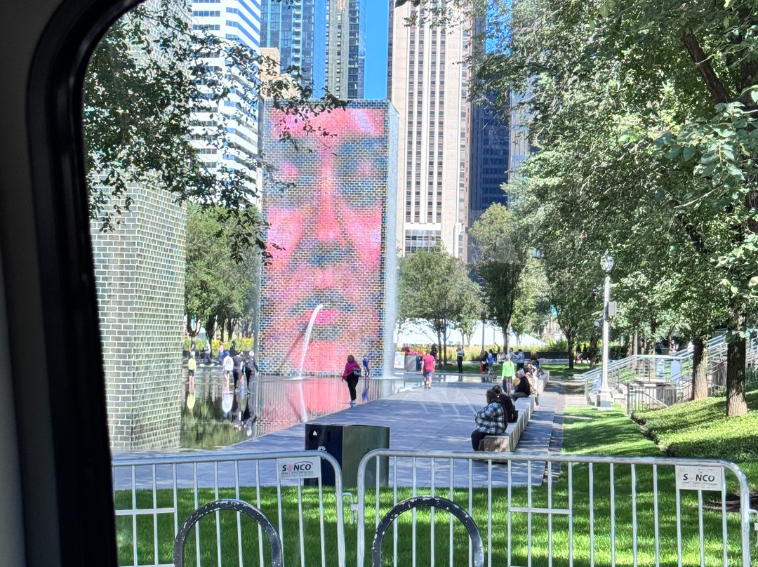 See it All Chicago Tours-芝加哥必去景点