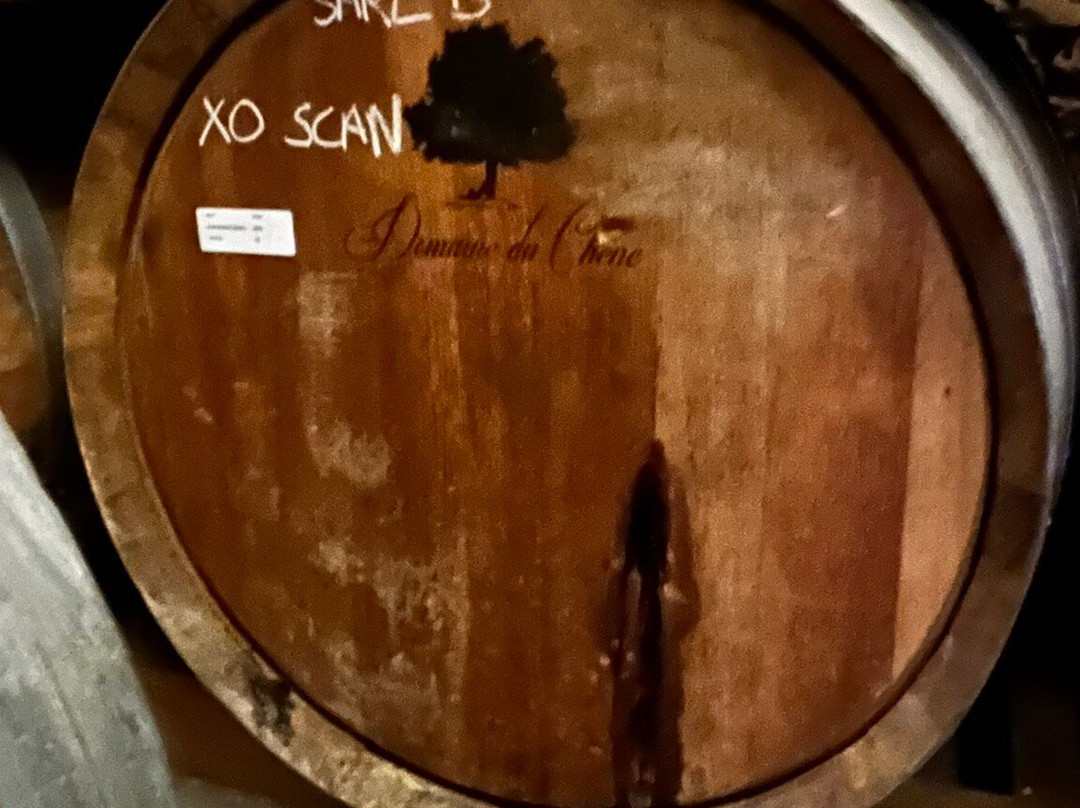 Le Domaine Du Chêne-Saint Palais de Phiolin必去景点