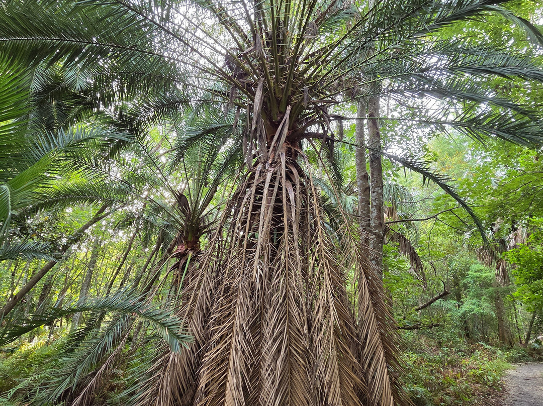 Mead Botanical Garden, Inc.-温特帕克必去景点