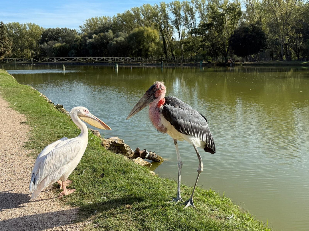 Leo Wild Park-托迪必去景点