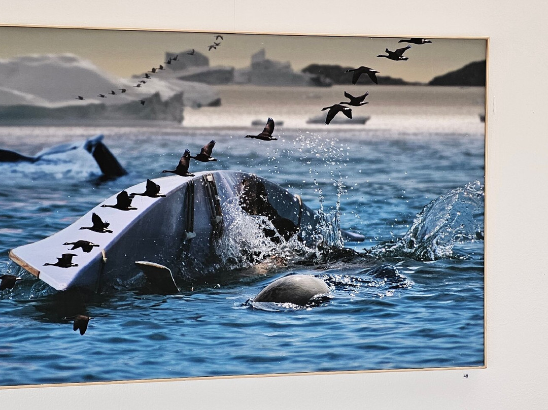 Katuaq Cultural Centre-努克必去景点