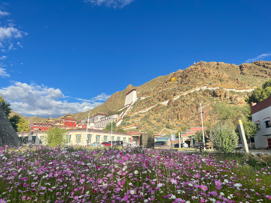 Xizang FIT Travel-拉萨市必去景点