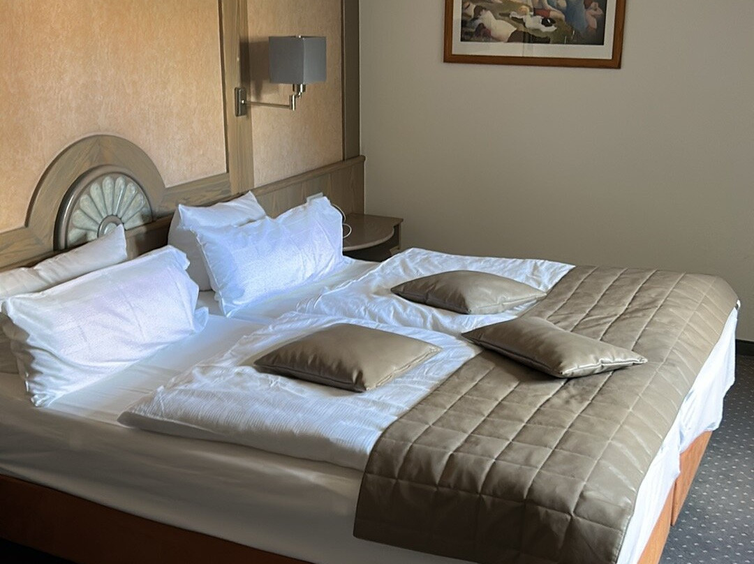 Romantisches Hotel Menzhausen主图