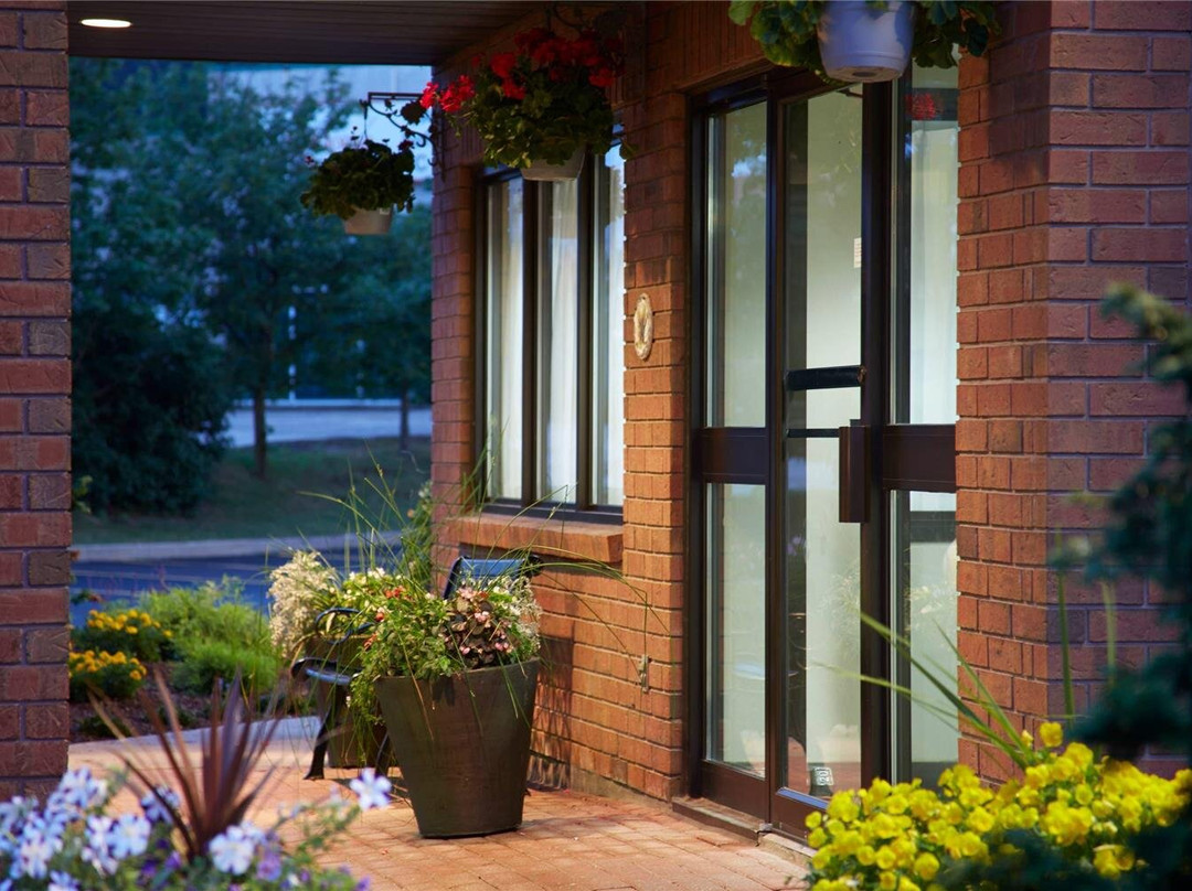 Comfort Inn Airport East主图