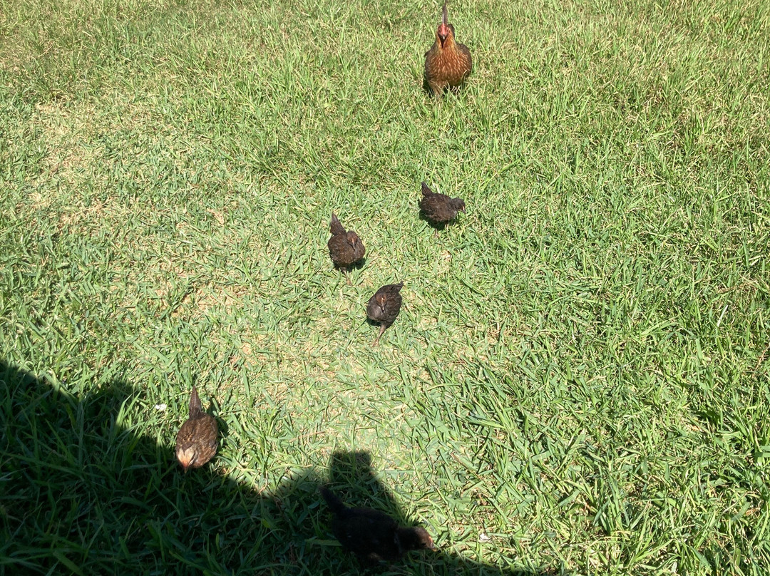 Aqualand El Arenal-埃拉雷纳尔必去景点