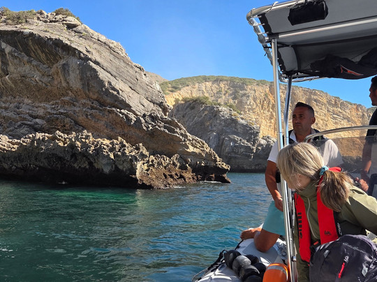 100Salpicos Boat Tours-塞新布拉必去景点