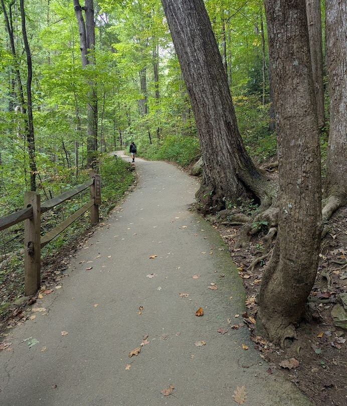 Anna Ruby Falls-海伦必去景点
