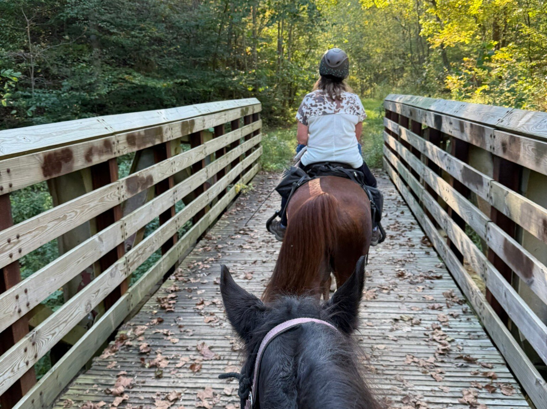 Uncle Buck's Riding Stable-New Marshfield必去景点