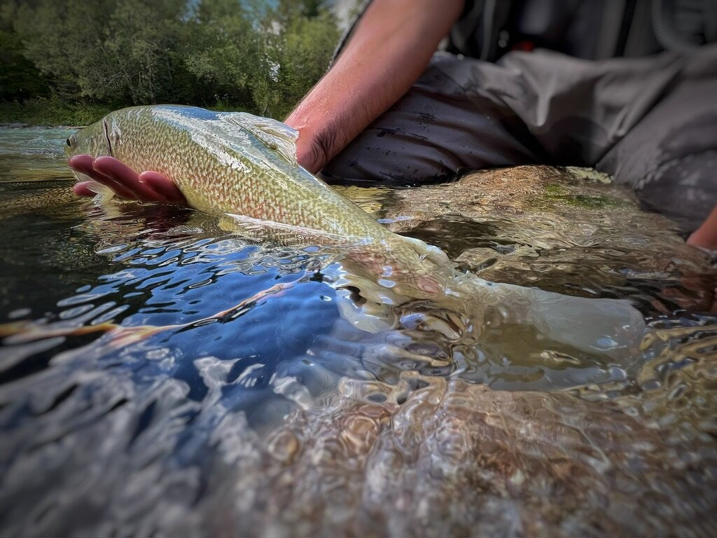 Fly Fishing Alpe Adria-Domzale必去景点
