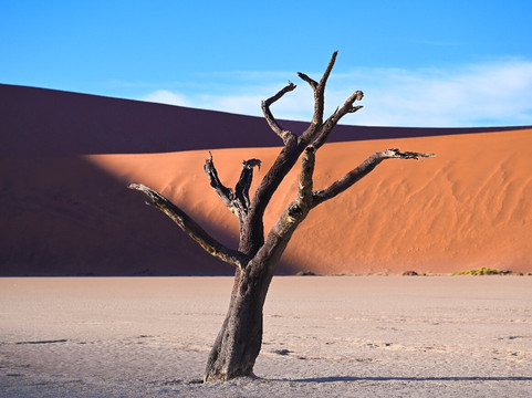Nature Africa Safaris Namibia-温德和克必去景点