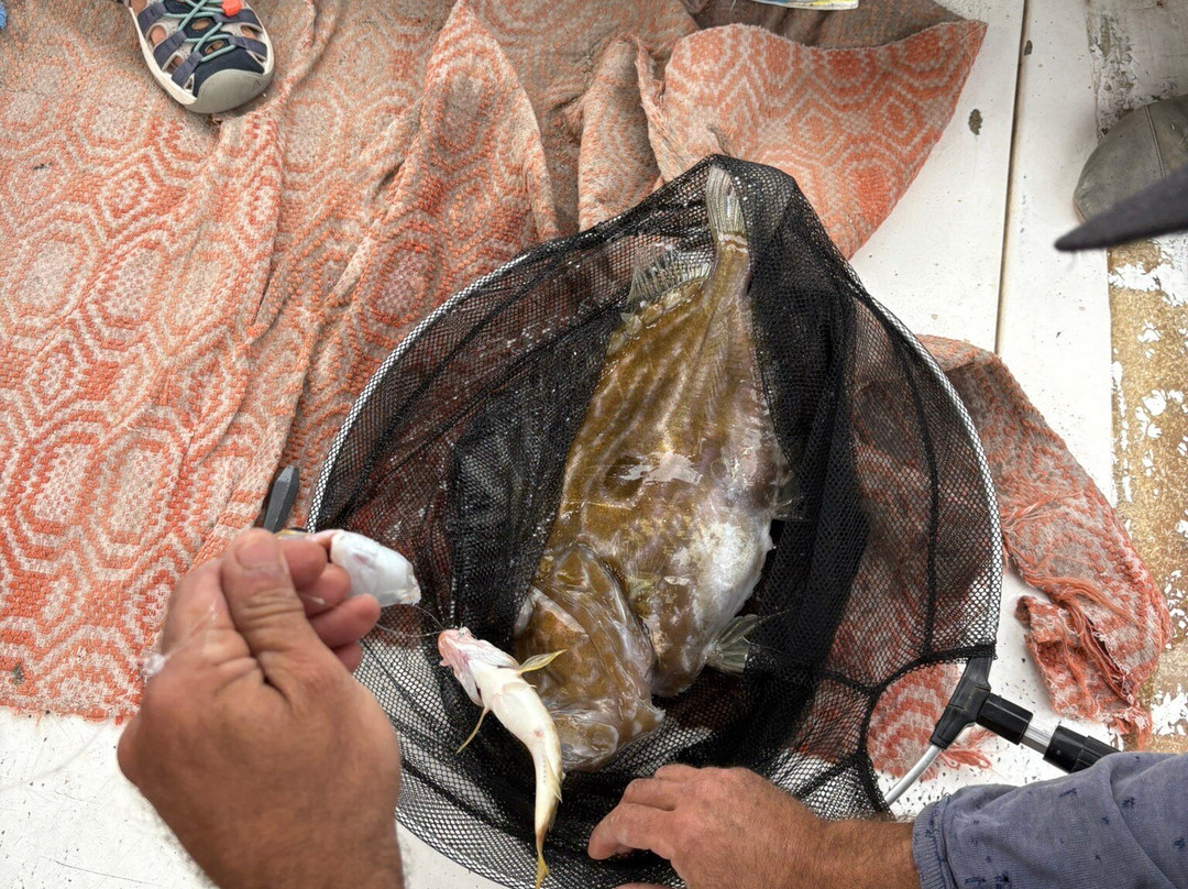 Mitsos Fishing Trips-Petra必去景点