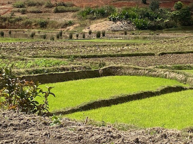 Tahina Aventuriers Madagascar-安塔那那利佛必去景点