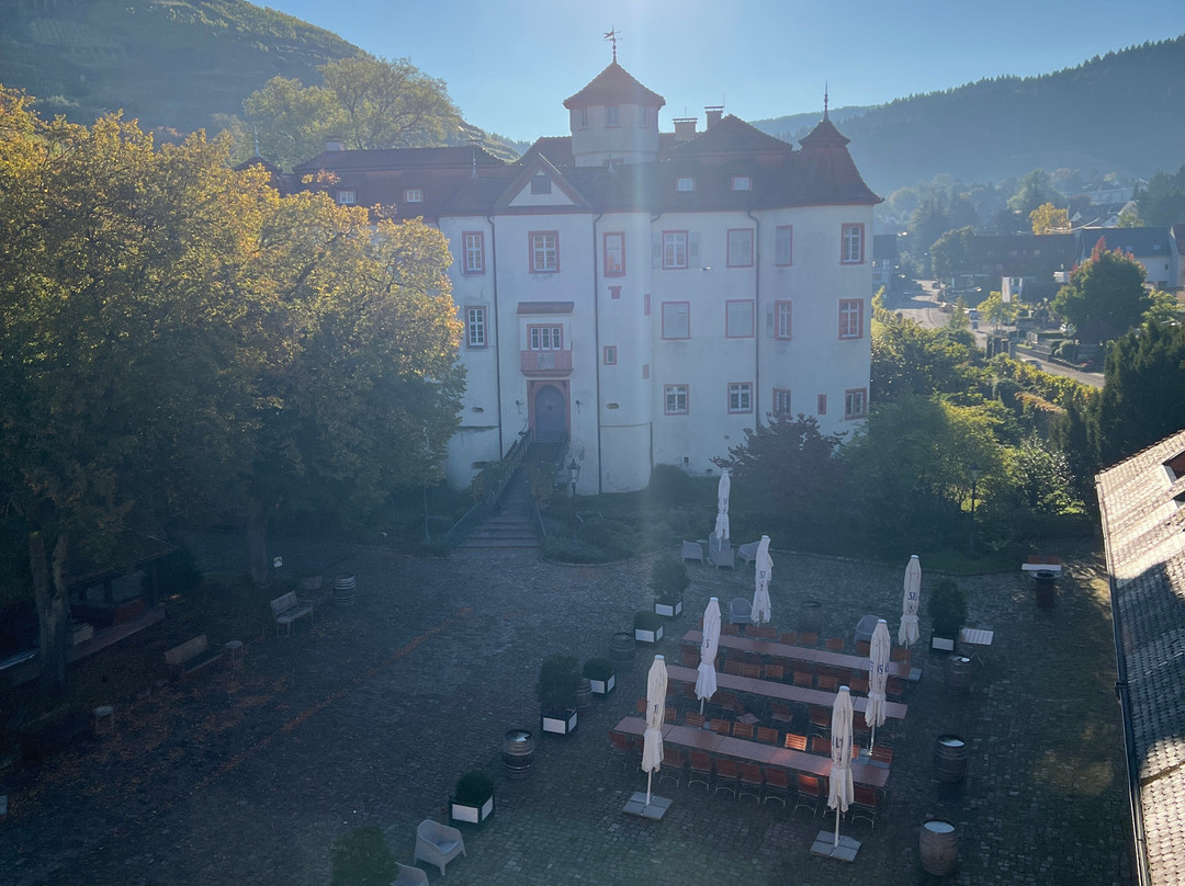 Weingut Schloss Neuweier-巴登巴登必去景点