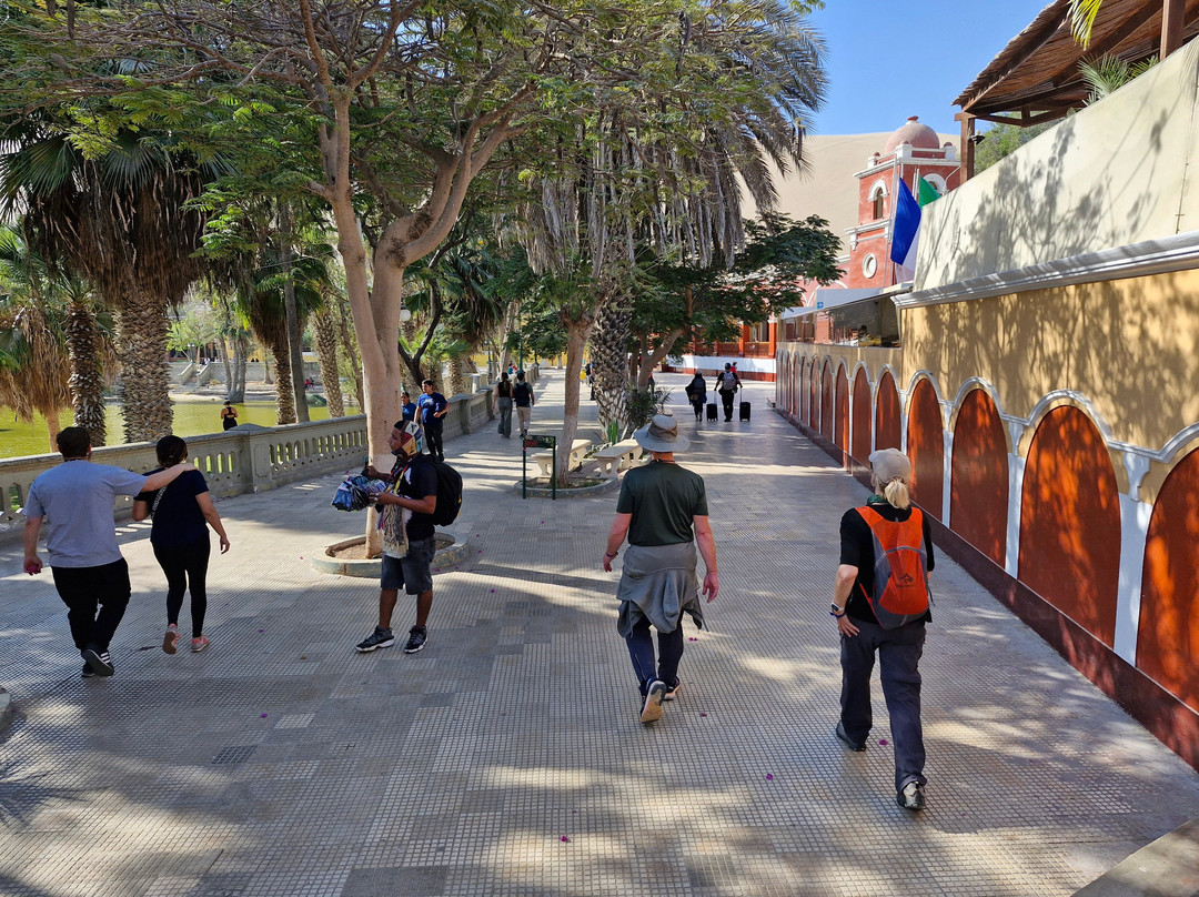 Hotel Restaurant Curasi主图