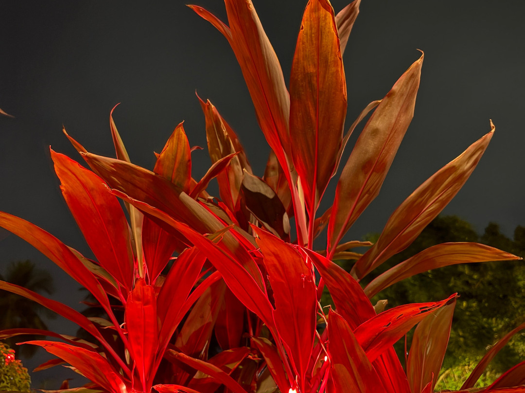 潘奇瓦蒂财富公园酒店主图