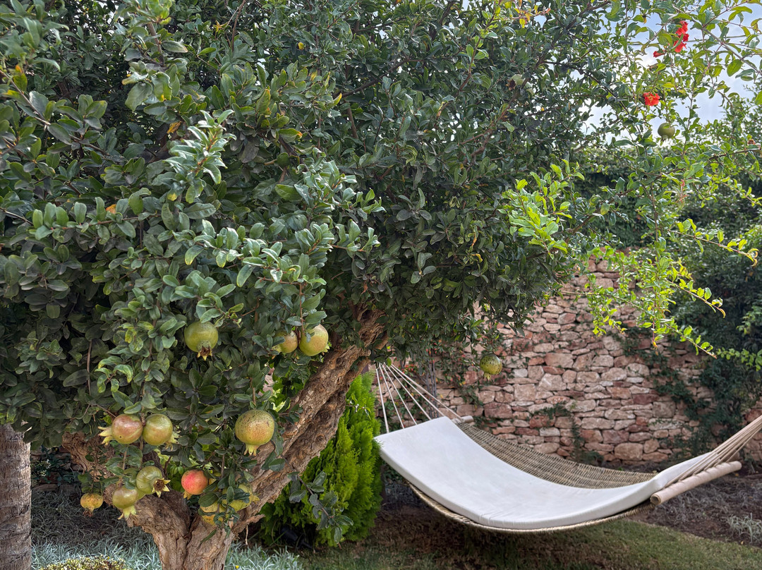 Mar Suites Formentera by Universal Beach Hotels主图