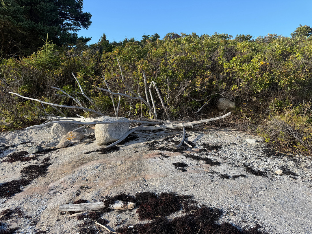 Osprey's Echo Sea Kayaking-Stonington必去景点