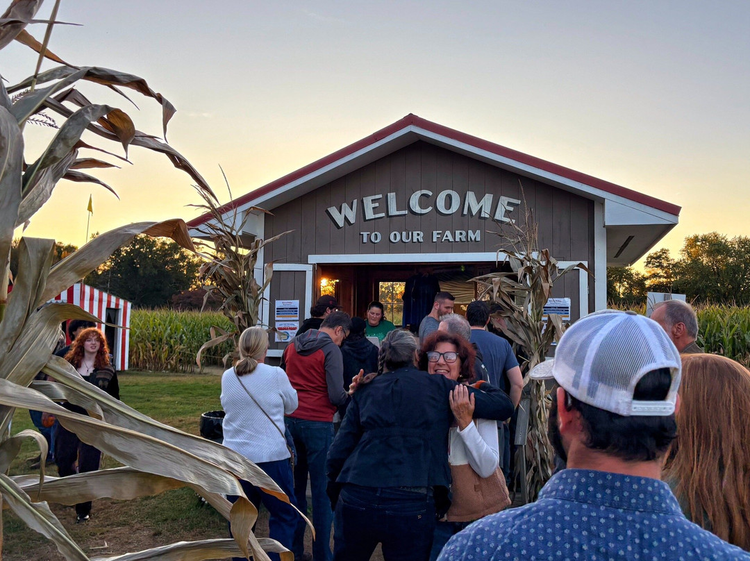 Mike's Maze-Sunderland必去景点