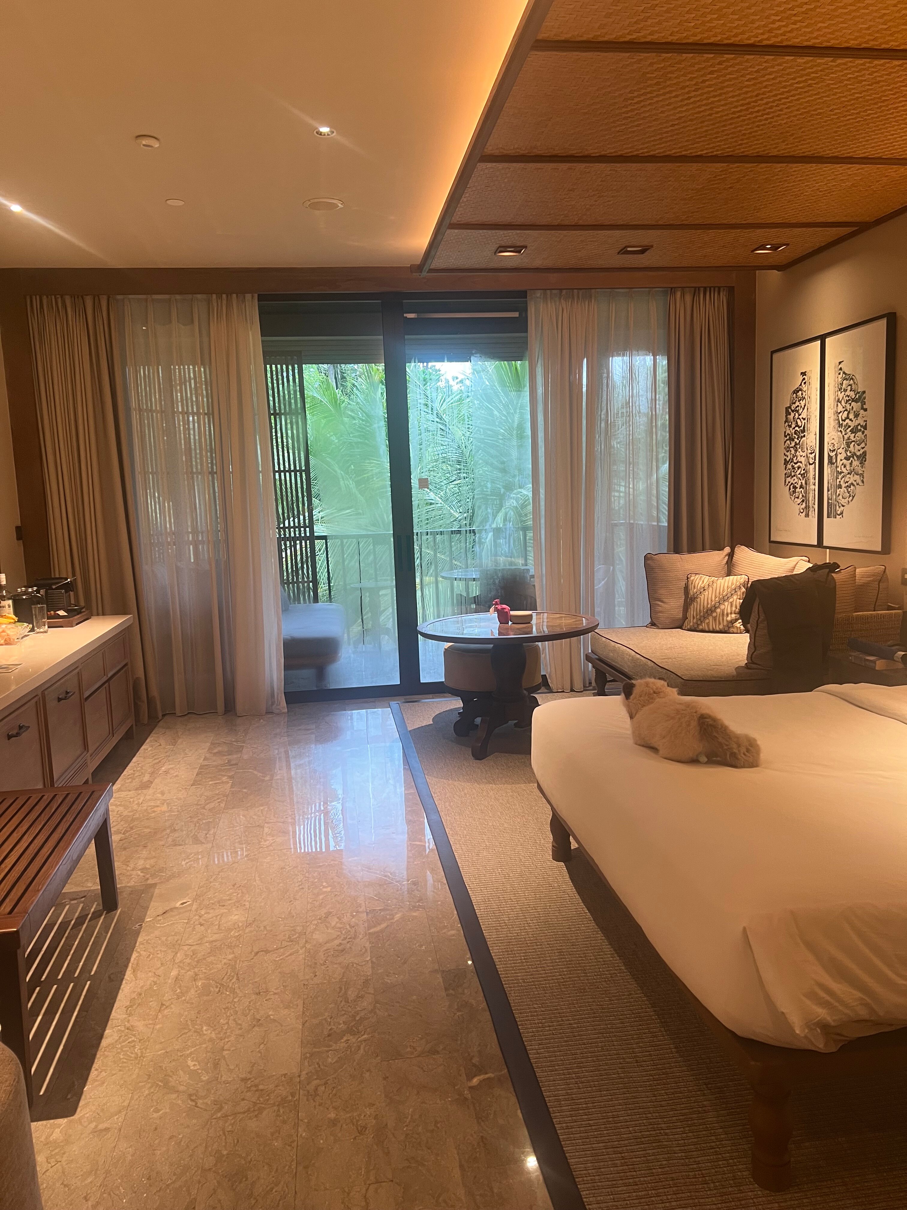 Andaz Bali-客卧