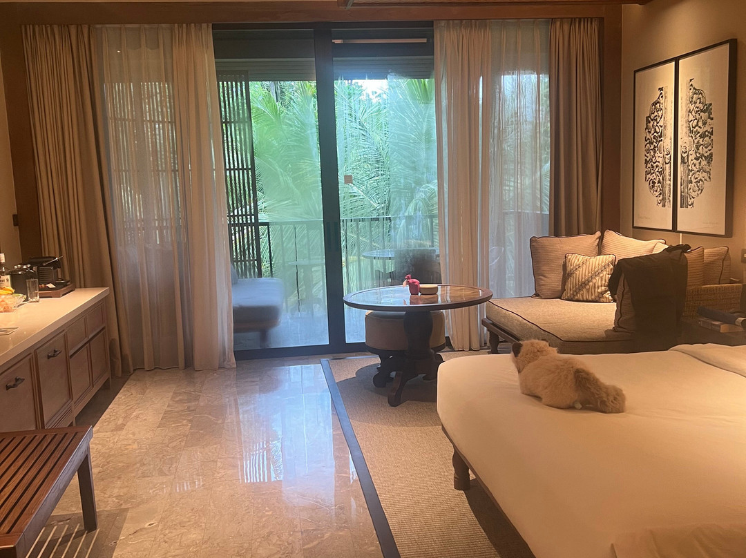 Andaz Bali主图