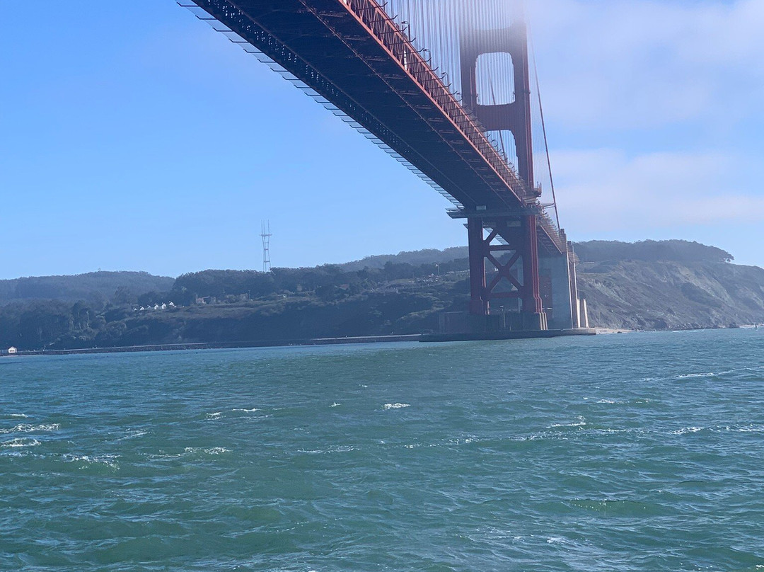 Angel Island - Tiburon Ferry-Tiburon必去景点