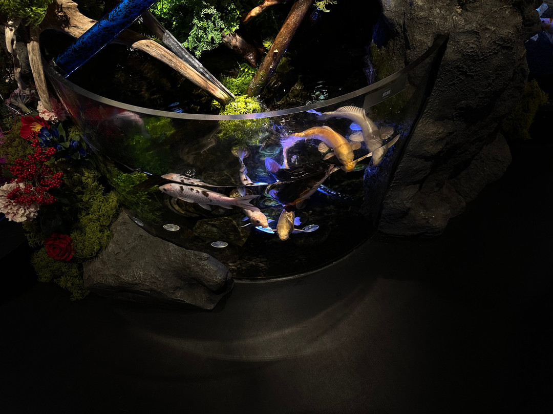 Uws Aquarium Ga Kyo-Daiba必去景点